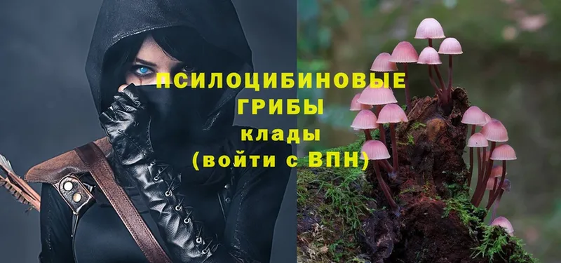 гидра как зайти  Зеленокумск  Галлюциногенные грибы MAGIC MUSHROOMS 